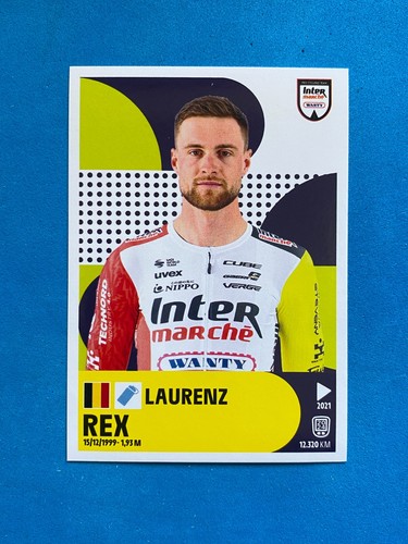 Figurine stickers panini - stickers,